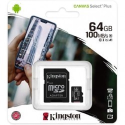Flashcard MicroSD 64GB Canvas Select