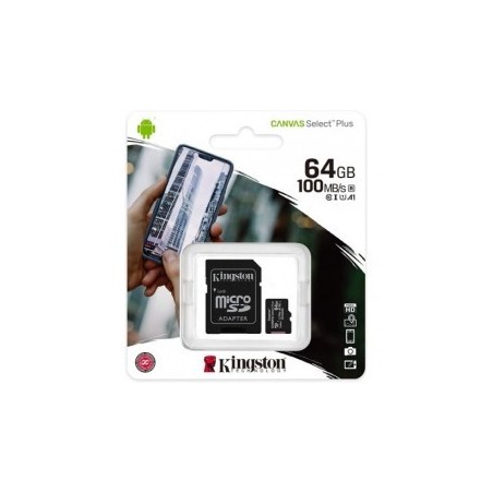 Flashcard MicroSD 64GB Canvas Select