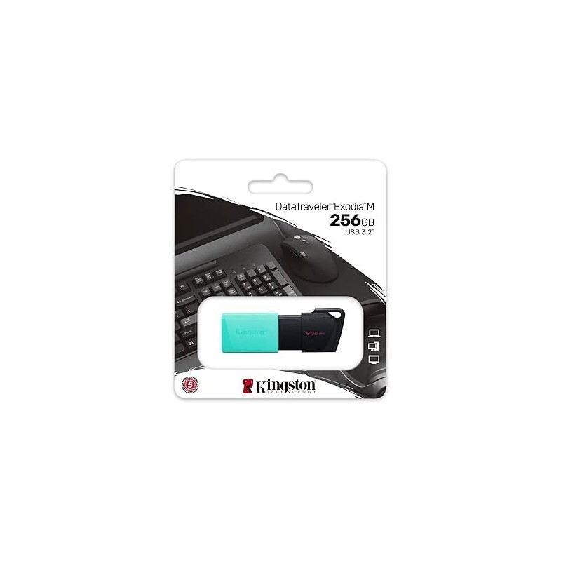 Pen drive 256GB Kingston DTXM ExodiaM