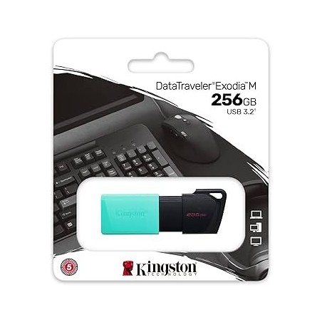 Pen drive 256GB Kingston DTXM ExodiaM