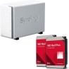 SYNOLOGY NAS DS223j 2 HDD
