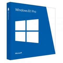 WINDOWS 8 PROFESSIONAL OEM